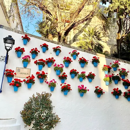 Beachfront - Eaw Homes * Marbella