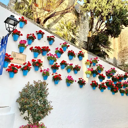 Beachfront - Eaw Homes Apartman *