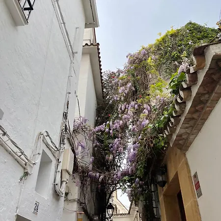 Apartman Beachfront - Eaw Homes