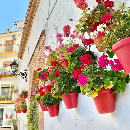 Lägenhet Beachfront - Eaw Homes Marbella